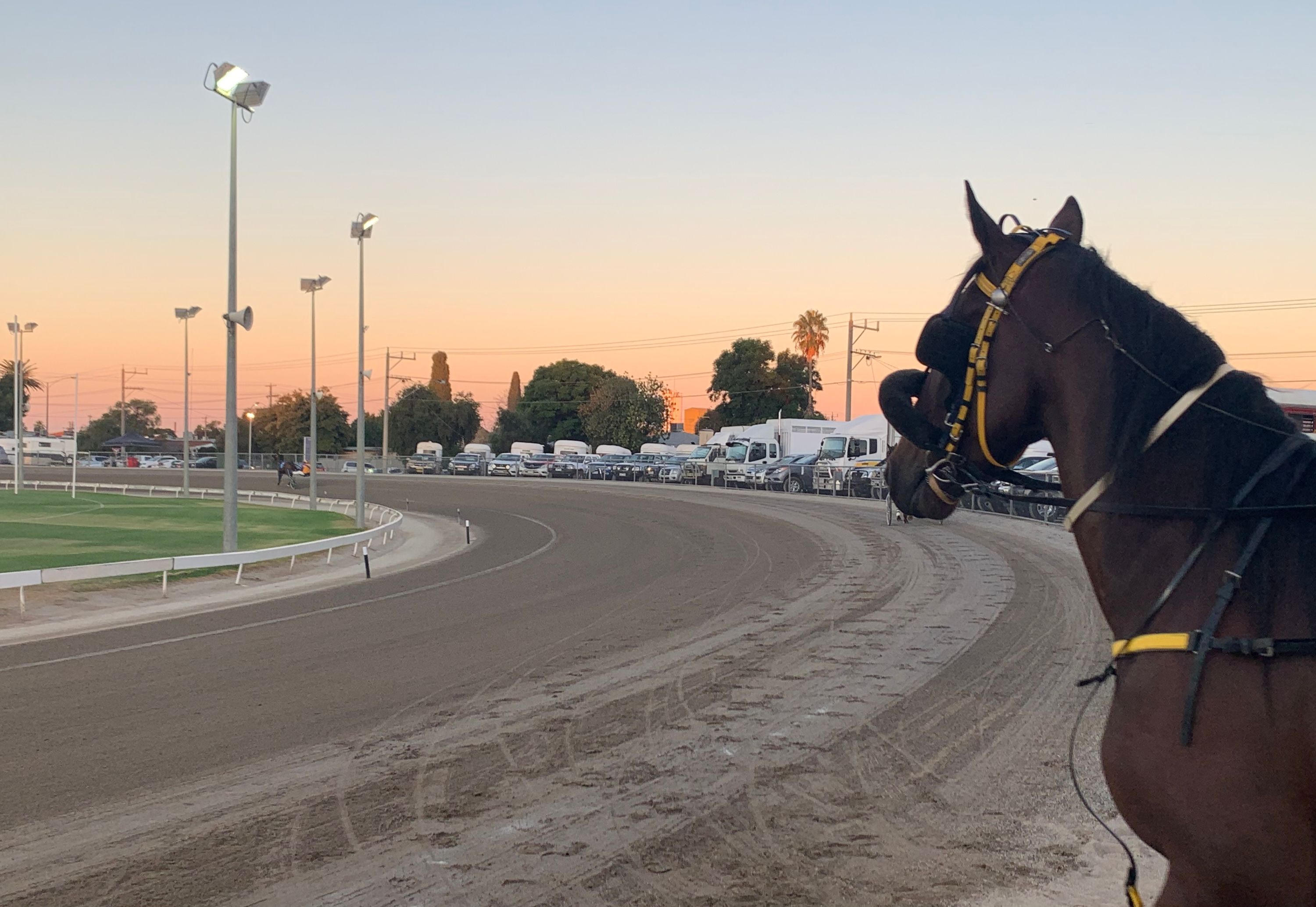 Sun, style and substance as all ready for big Mildura Cup week Harness Racing Victoria